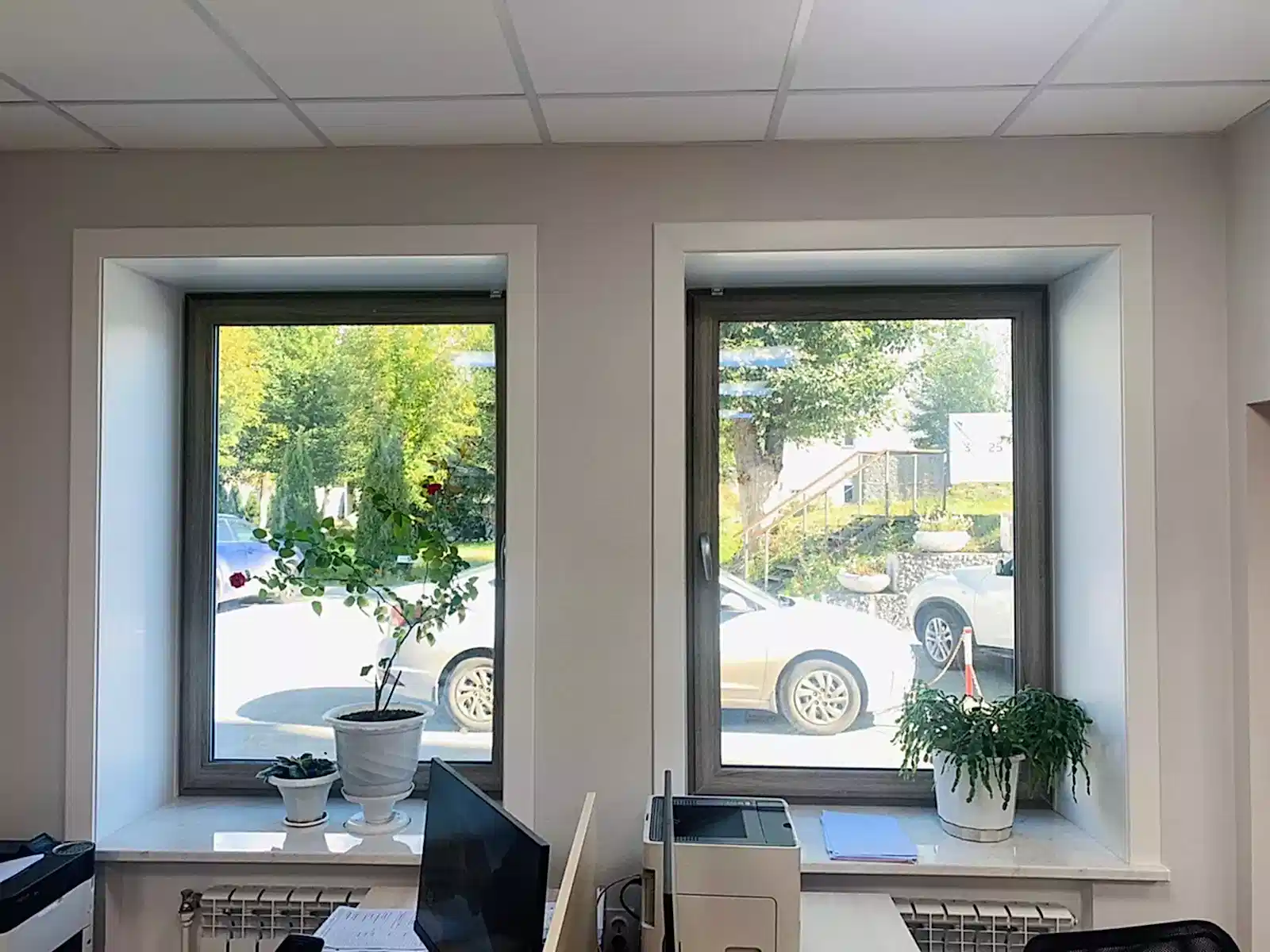 Пластиковые окна в офис